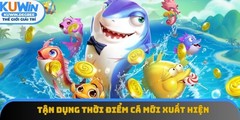 Bạn nên tận dụng thời điểm cá mới xuất hiện để tiêu diệt Bạn nên tận dụng thời điểm cá mới xuất hiện để tiêu diệt