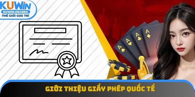 Giới thiệu giấy phép quốc tế
