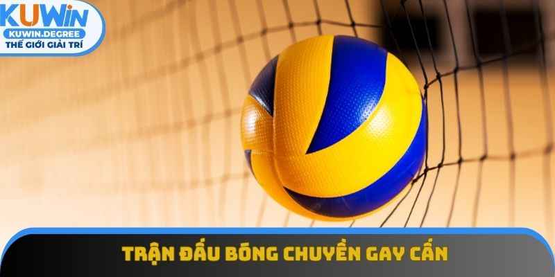 Thành viên tham gia nhiều trận đấu bóng chuyền gay cấn Thành viên tham gia nhiều trận đấu bóng chuyền gay cấn